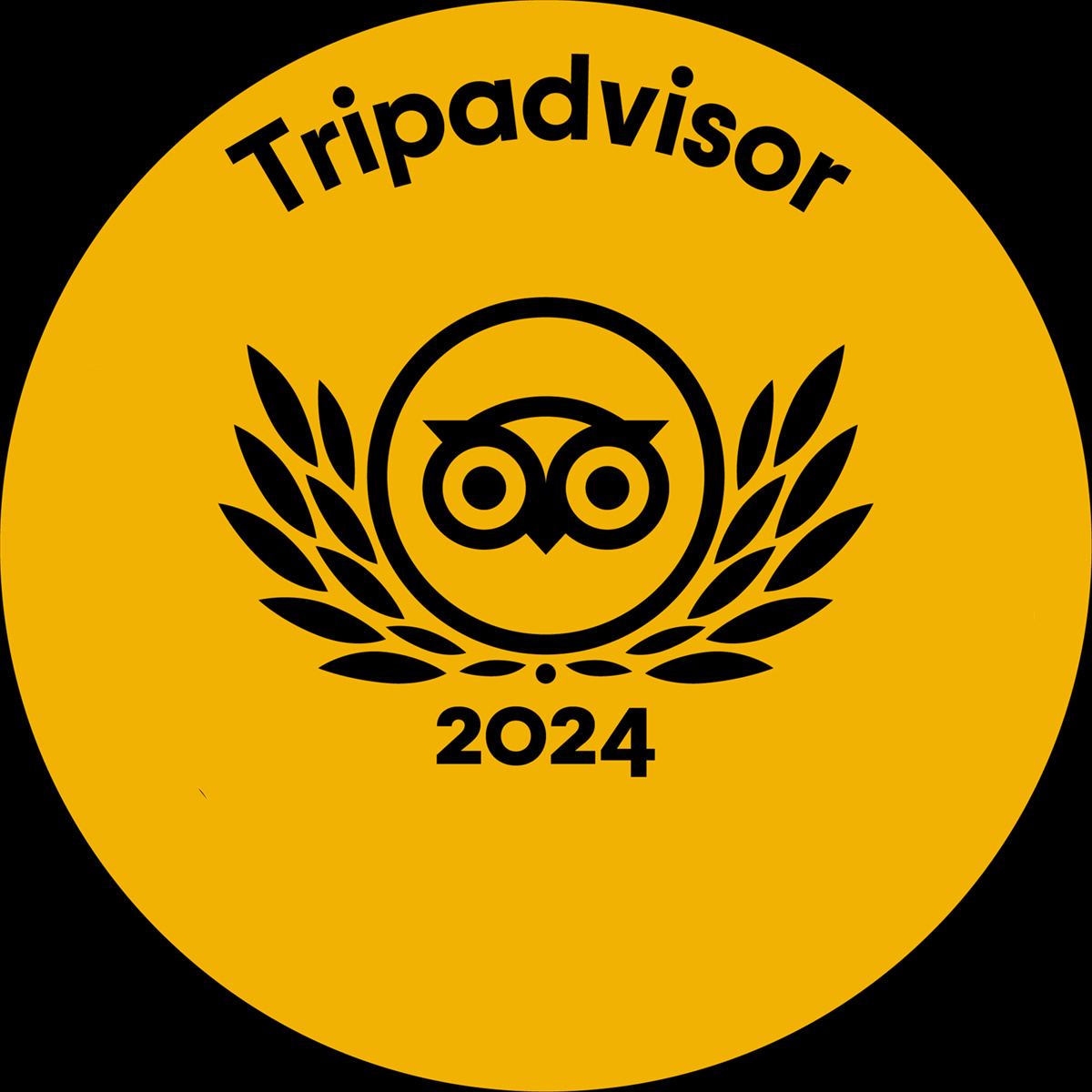 TripAdvisor 2024